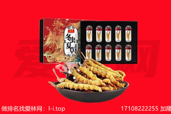 黎城县回收虫草.jpg